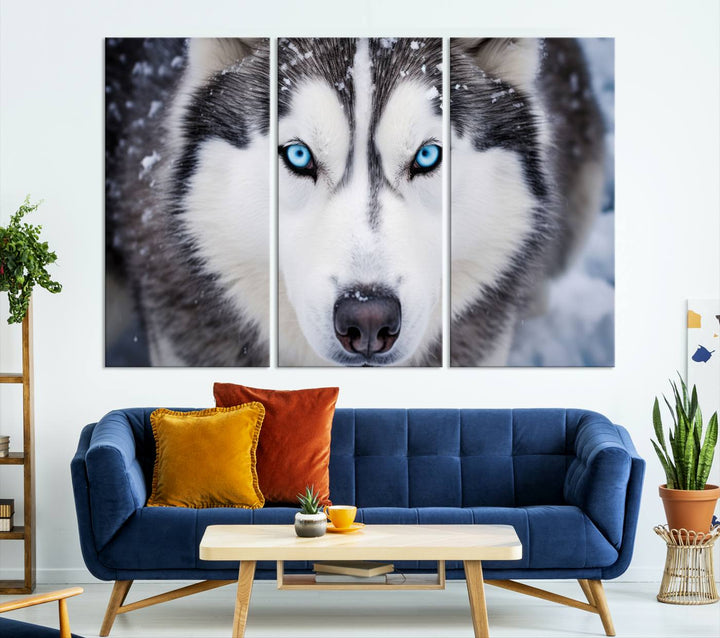 A large framed Winter Siberian Husky Wolf Wall Art Canvas Print, an exquisite piece of animal portrait decor, hangs prominently on the wall.