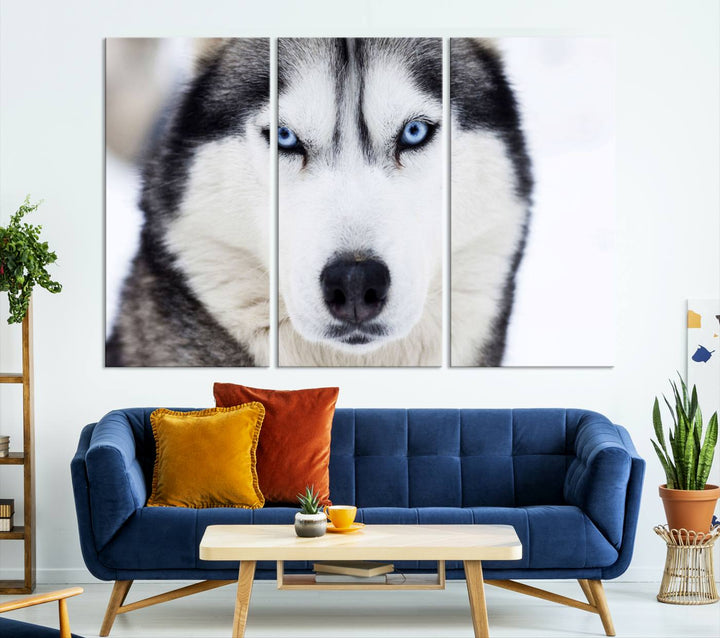 A captivating Winter Siberian Husky Wolf Blue Eyes Wall Art Canvas Print is displayed above.