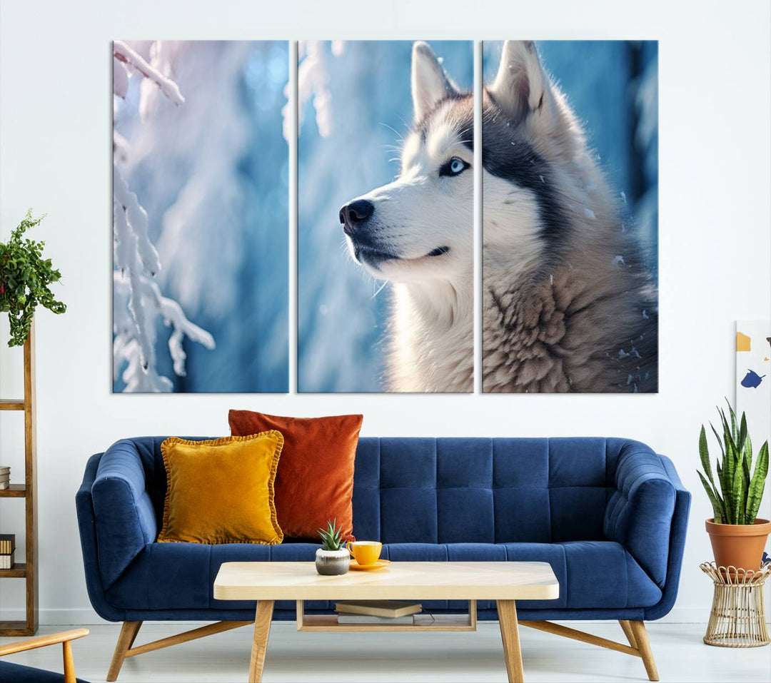 A captivating Winter Siberian Husky Wolf Wall Art Canvas Print hangs prominently.