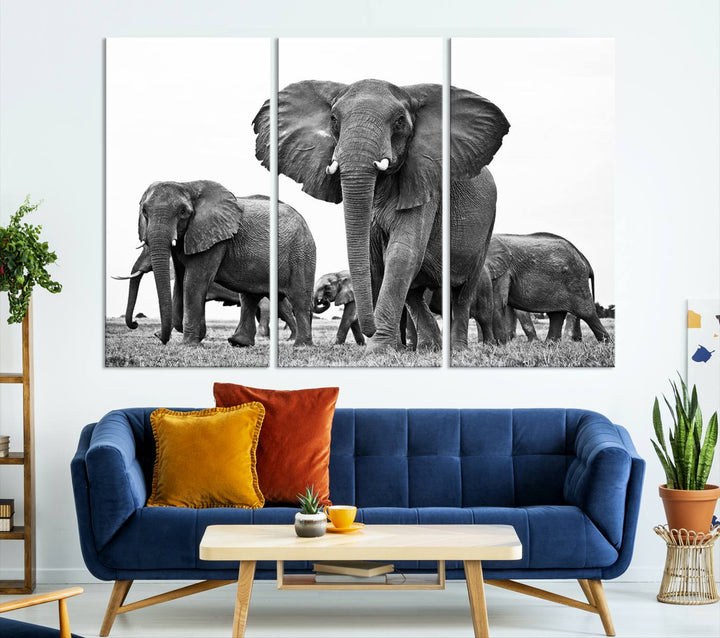 The Black White Elephant Family Wall Art Canvas Print features a triptych of elephants walking in the wild, crafted as gallery-quality wall art on premium canvas.