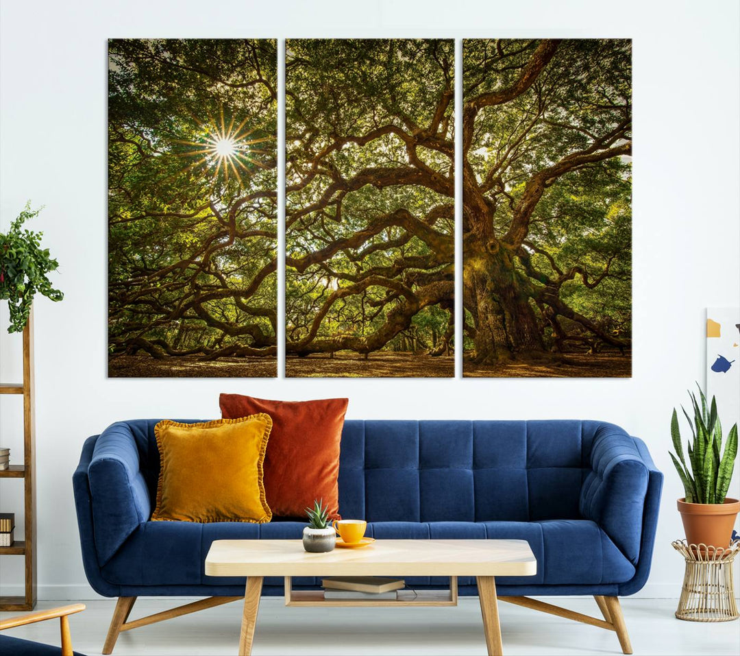 Ancient Angel Oak Tree Sunburst Wall Art - Nature-Inspired Triptych Canvas Print, Framed, Ready to Hang