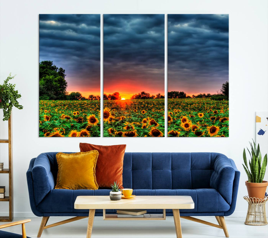 Golden Sunflower Field at Sunset – Breathtaking Sky and Vibrant Flowers, Ready to Hang Wall Art Canvas Print