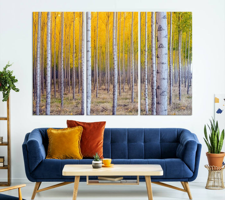 Birch Trees Forest in Autumn Wall Art Print