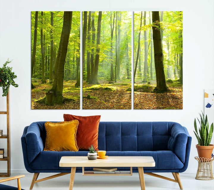 Wall Art Landscape Canvas Print Sunshine in Green Forest