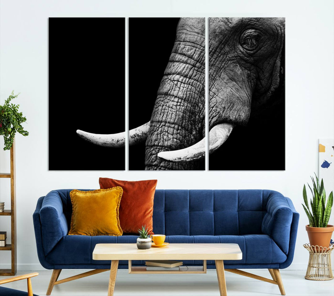 Wall Art Animal Canvas Print Close Taken Elephant with Big Ivories