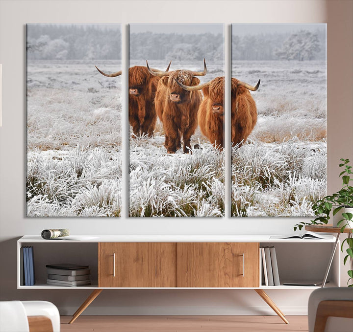 Vaches des Highlands dans la neige Art sur toile Highland Cattle Picture Art Farmhouse Art