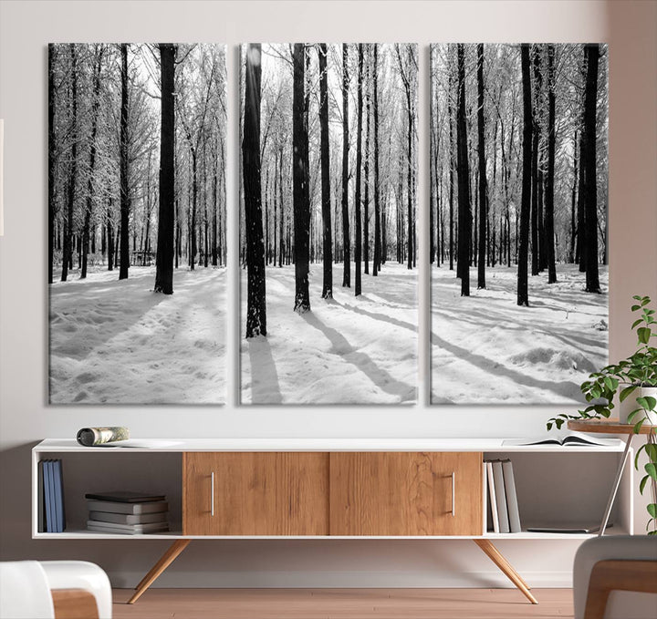 Wall Art Winter Forest Poplar Trees Canvas Print