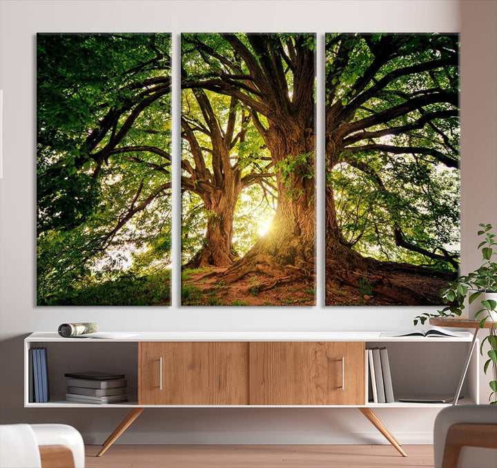 Majestic Ancient Tree Wall Art, Nature-Inspired Canvas Print, Woodland Art, Tree of Life Artwork, Sunlit Forest, Giclee Nature Print