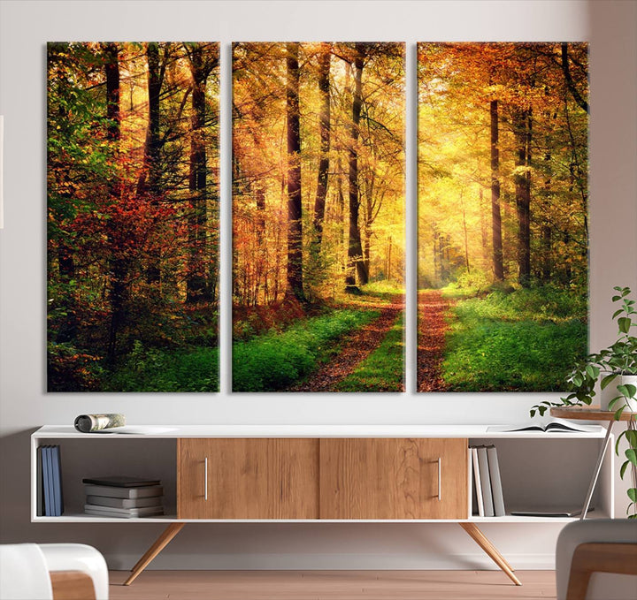 The Sunlight Through Trees Wall Art Canvas Print showcases a sunlit forest path in autumn on gallery-wrapped, museum-quality canvas with UV-protective coating.