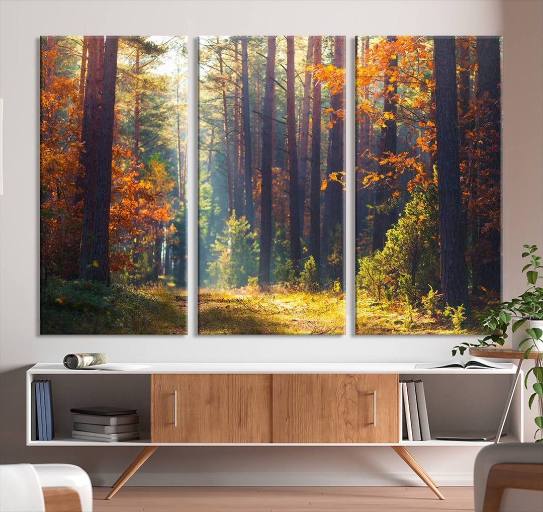 Forêt Sunshine Wall Art Impression sur toile