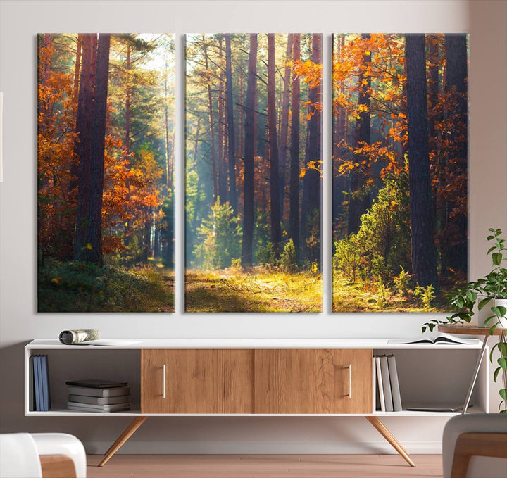 Forêt Sunshine Wall Art Impression sur toile