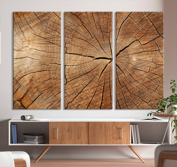 The stunning multi-panel wall art piece, the Tree Ring Canvas Art, features intricate rustic wood grain textures. This giclee triptych hangs elegantly on the wall.