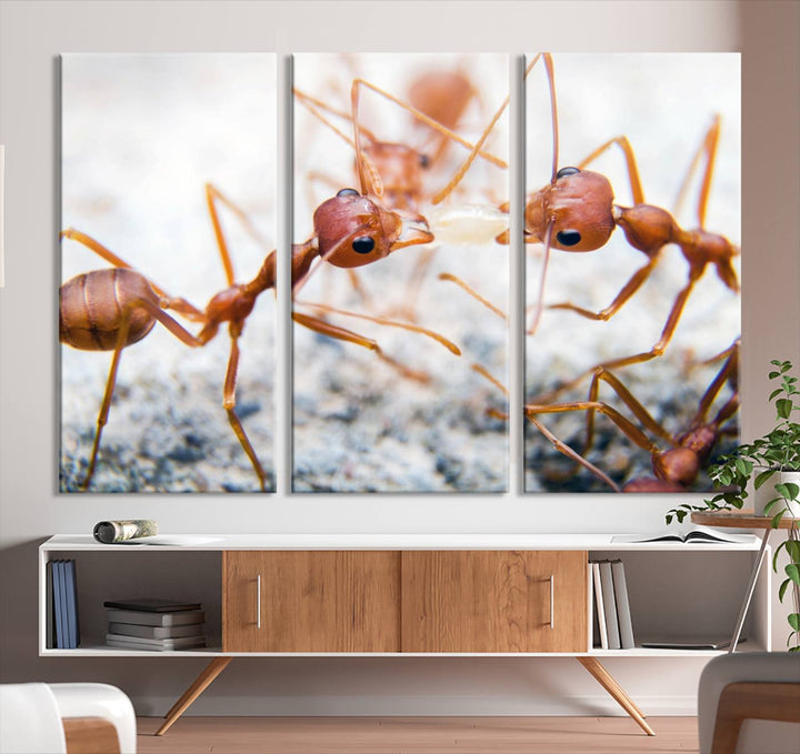 The "Ants Wall Art Canvas Print" features two ants facing each other, beautifully presented across three panels on museum-quality canvas with a UV-protective coating.