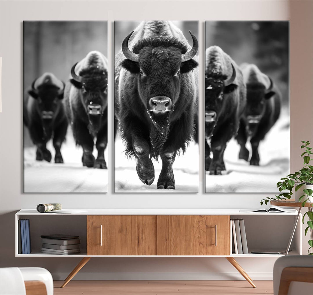 A modern living room features a striking black-and-white American Bison Art | Buffalo Herd Wall Art Canvas Print on the wall.