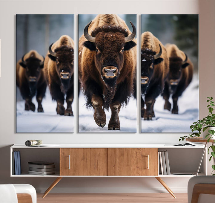 Buffalo Wall Art Canvas Print, American Bison Herd Wall Art Canvas Print