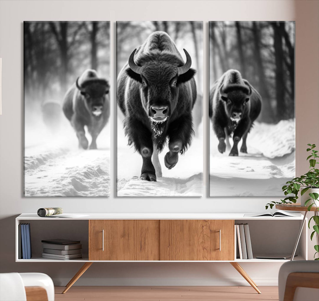 Transform your living room with the Buffalo Wall Art Canvas Print triptych, showcasing a bison family in motion across a snowy landscape. This striking Western decor piece becomes the focal point of any room.