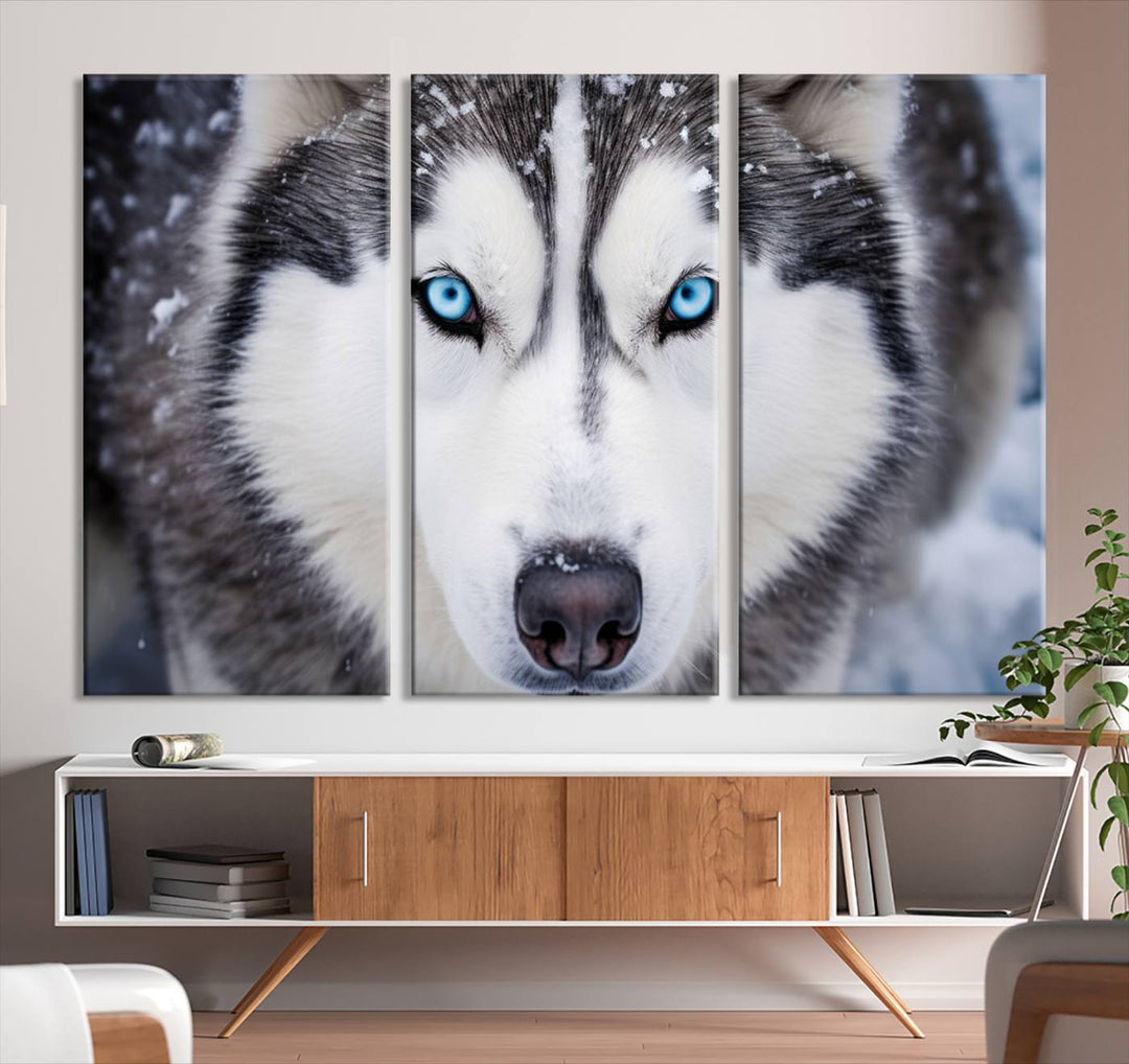 A large framed Winter Siberian Husky Wolf Wall Art Canvas Print, an exquisite piece of animal portrait decor, hangs prominently on the wall.