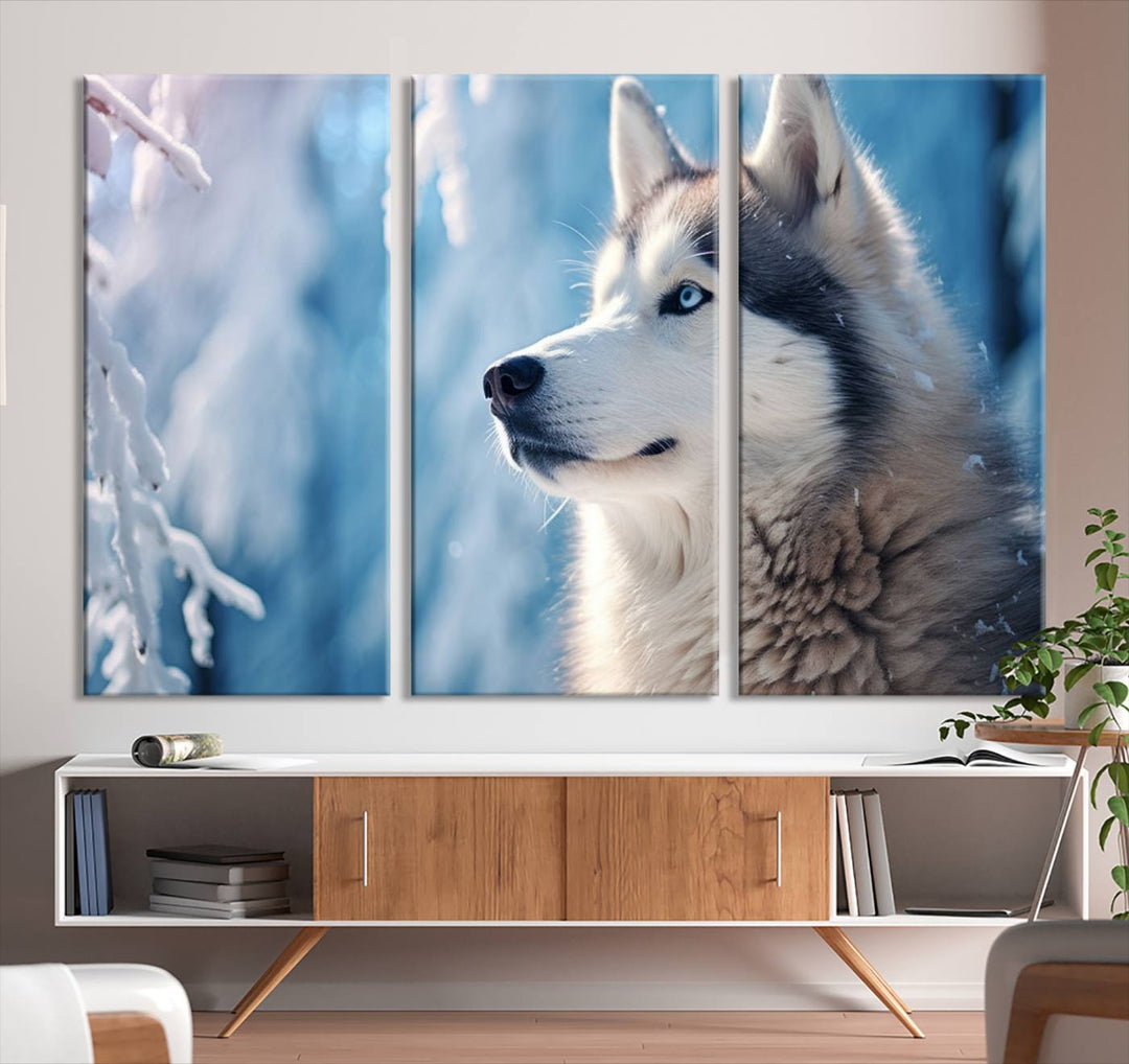 A captivating Winter Siberian Husky Wolf Wall Art Canvas Print hangs prominently.