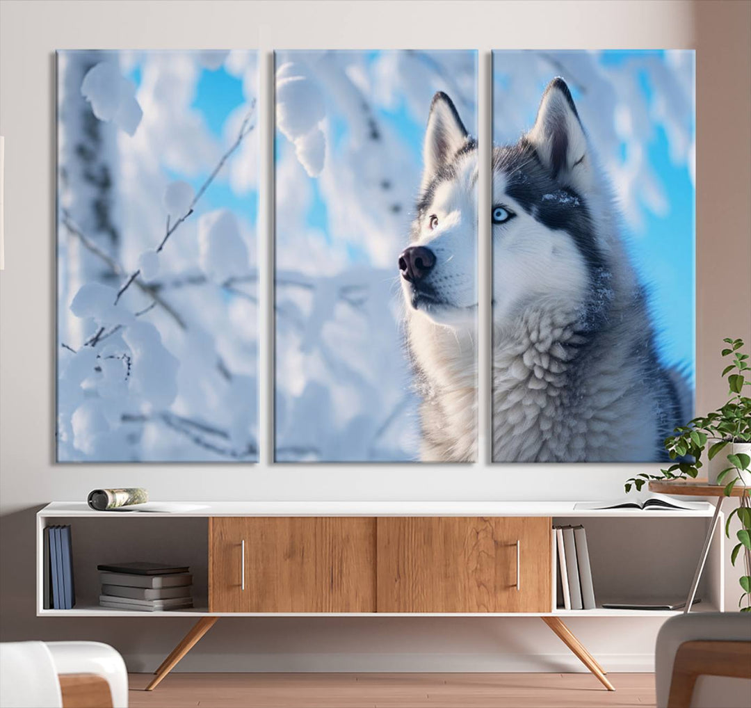 The Siberian Husky Art Canvas elegantly enhances the room.