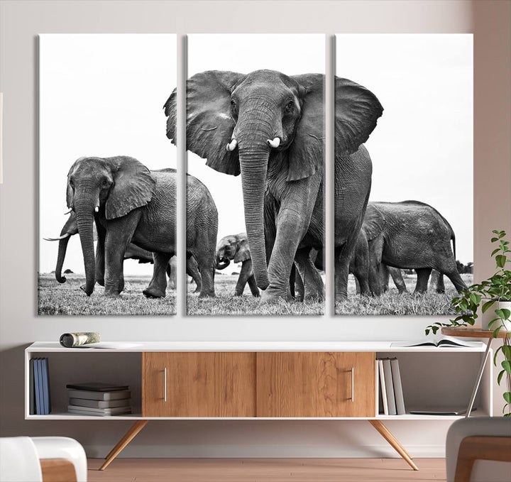 The Black White Elephant Family Wall Art Canvas Print features a triptych of elephants walking in the wild, crafted as gallery-quality wall art on premium canvas.