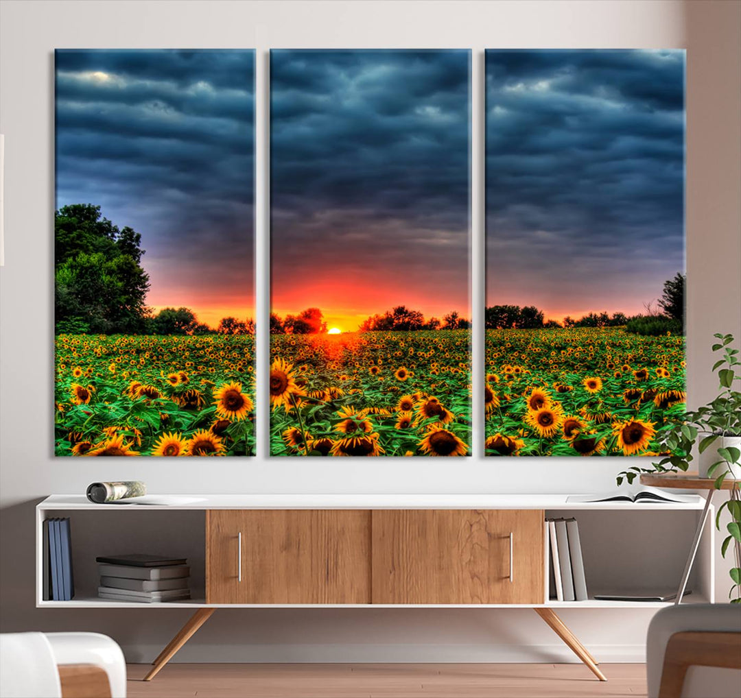 Golden Sunflower Field at Sunset – Breathtaking Sky and Vibrant Flowers, Ready to Hang Wall Art Canvas Print