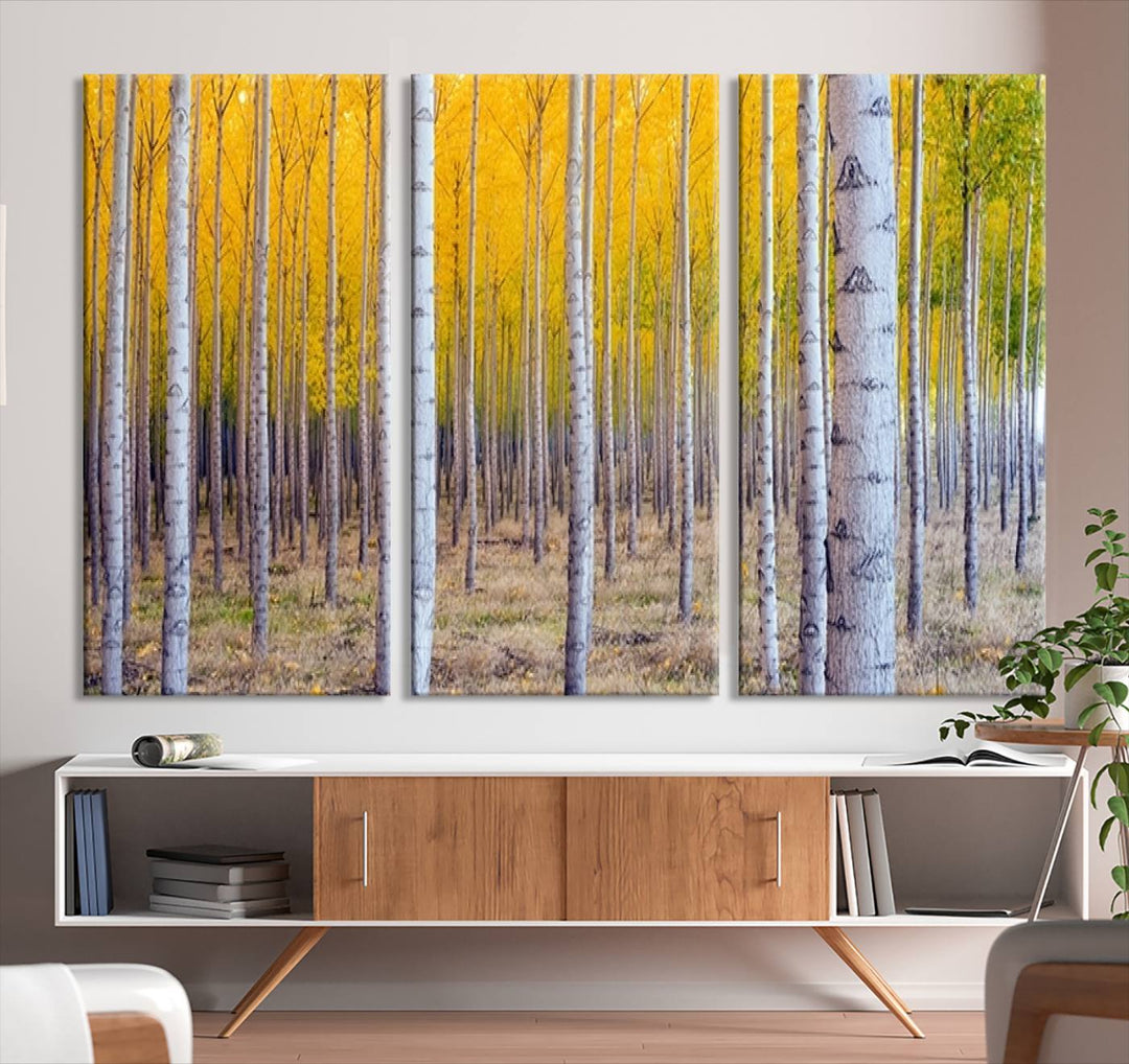 Impresión artística de pared con bosque de abedules en otoño