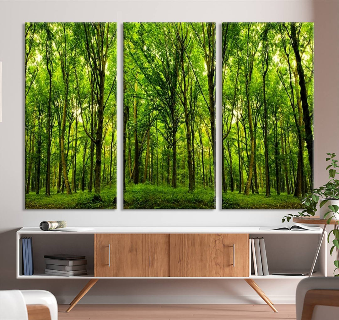 Impression sur toile de paysage d'art mural, vue panoramique d'une forêt verte