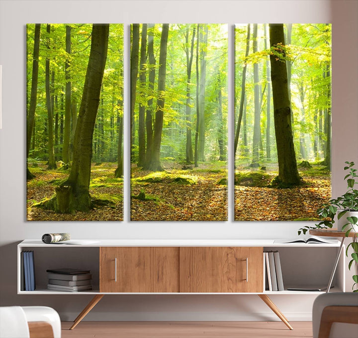 Wall Art Landscape Canvas Print Sunshine in Green Forest