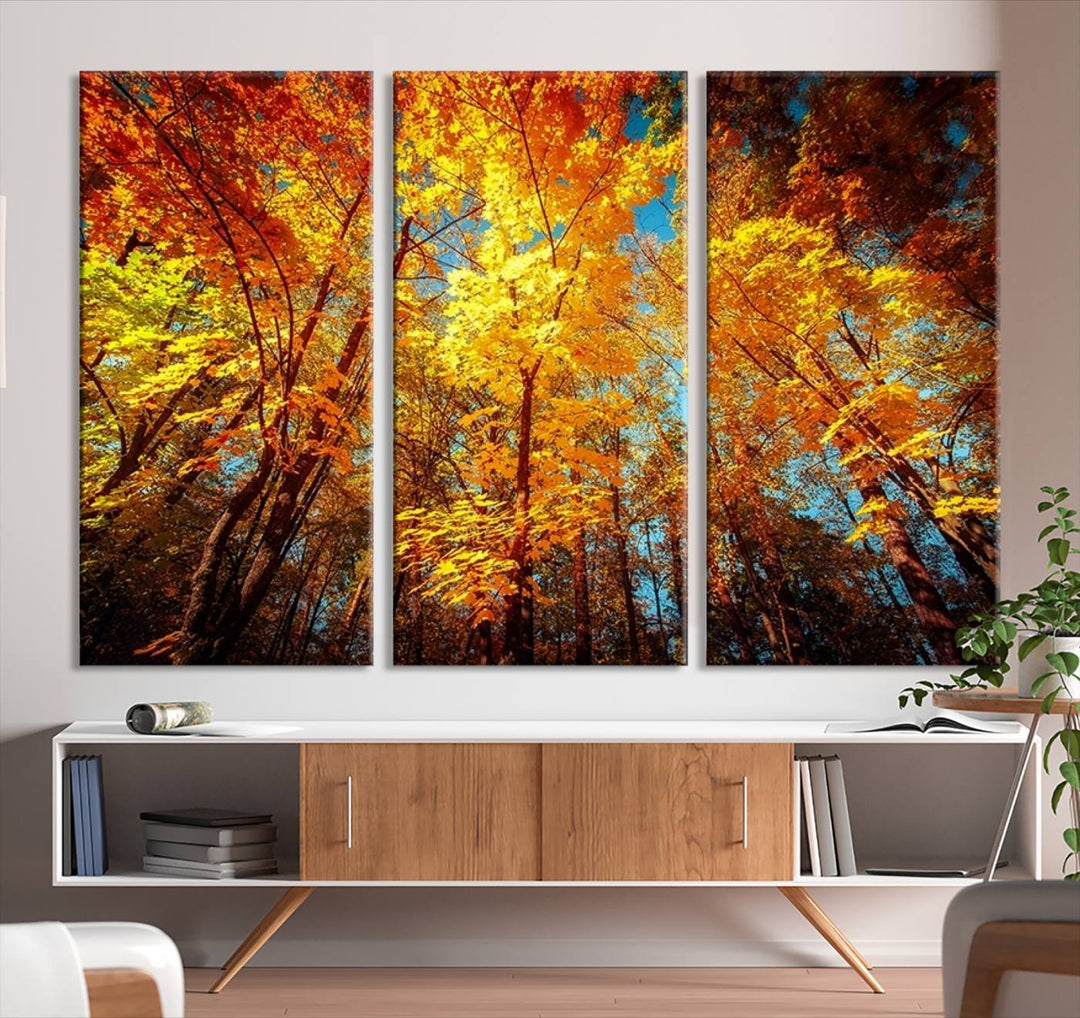 Forest View at Fall Wall Art Autumn Colors Landscape Canvas Print