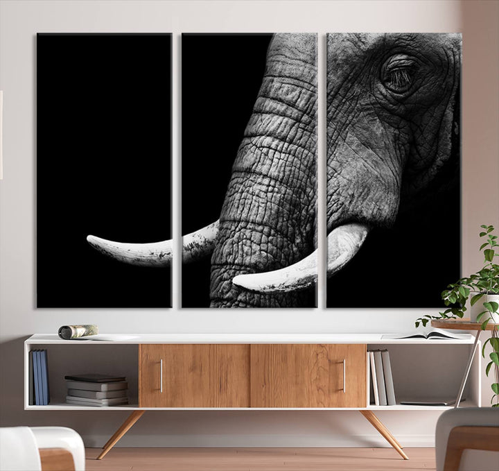 Wall Art Animal Canvas Print Close Taken Elephant with Big Ivories