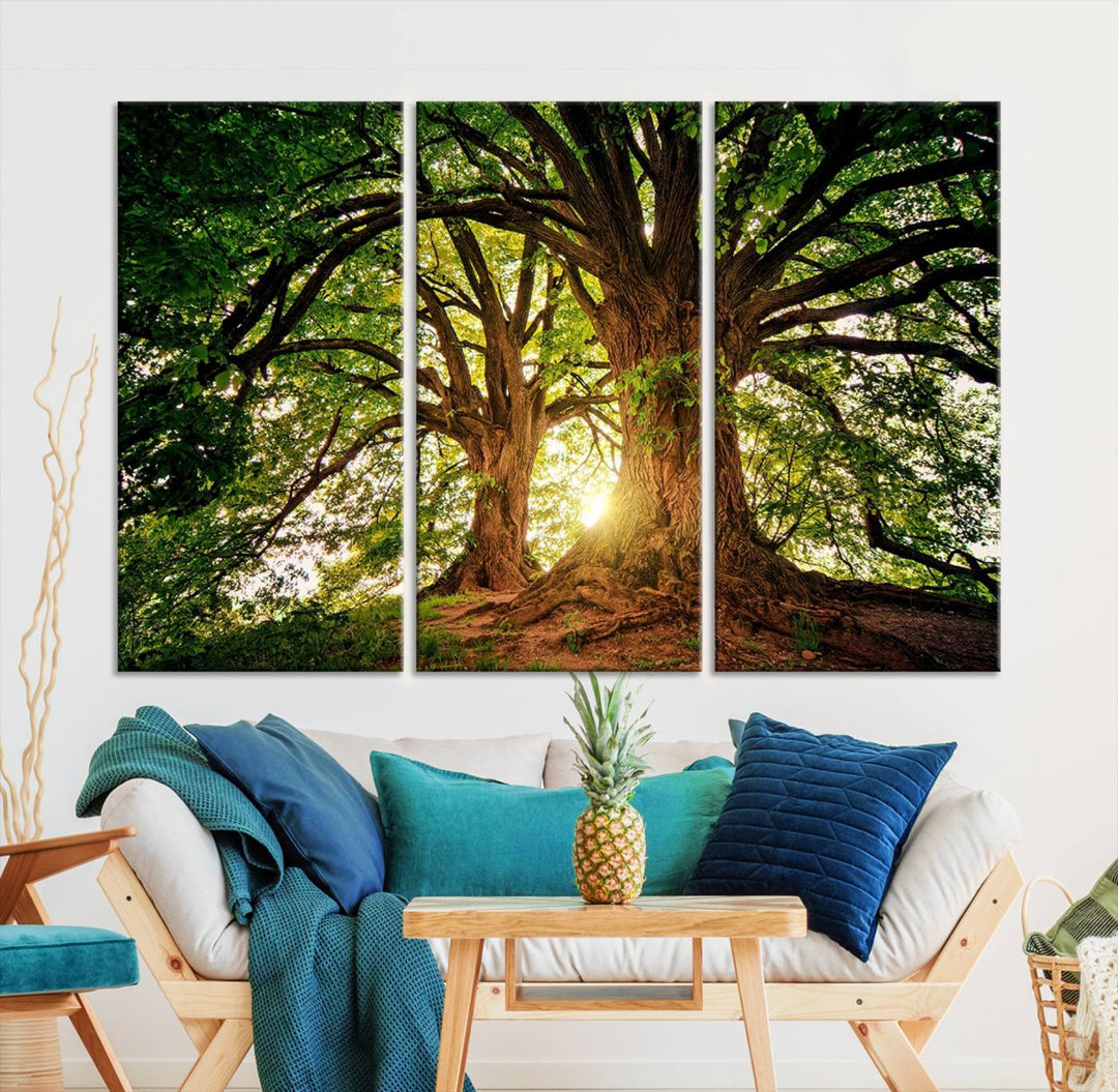 Majestic Ancient Tree Wall Art, Nature-Inspired Canvas Print, Woodland Art, Tree of Life Artwork, Sunlit Forest, Giclee Nature Print