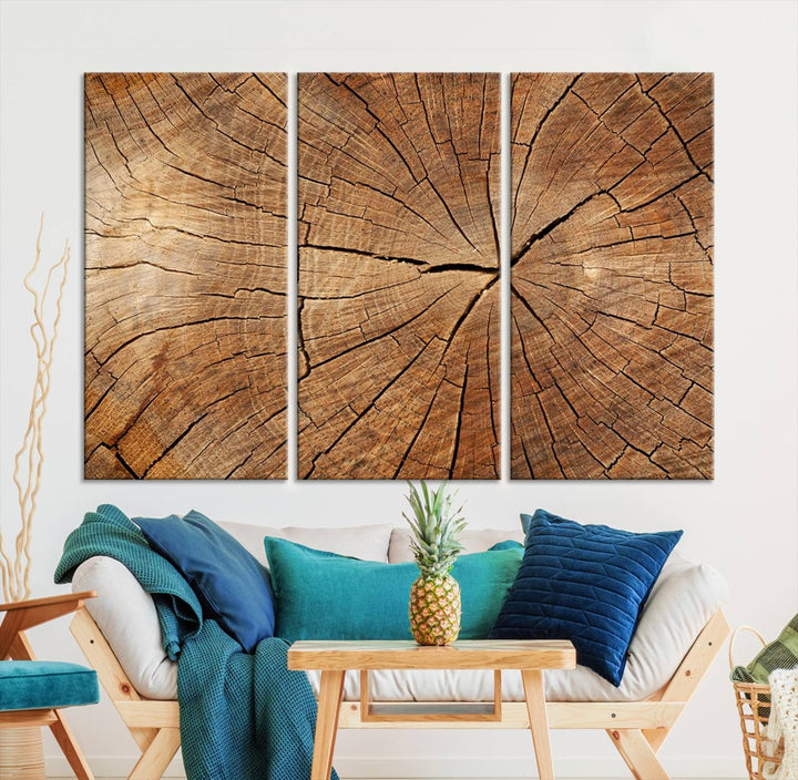 The stunning multi-panel wall art piece, the Tree Ring Canvas Art, features intricate rustic wood grain textures. This giclee triptych hangs elegantly on the wall.