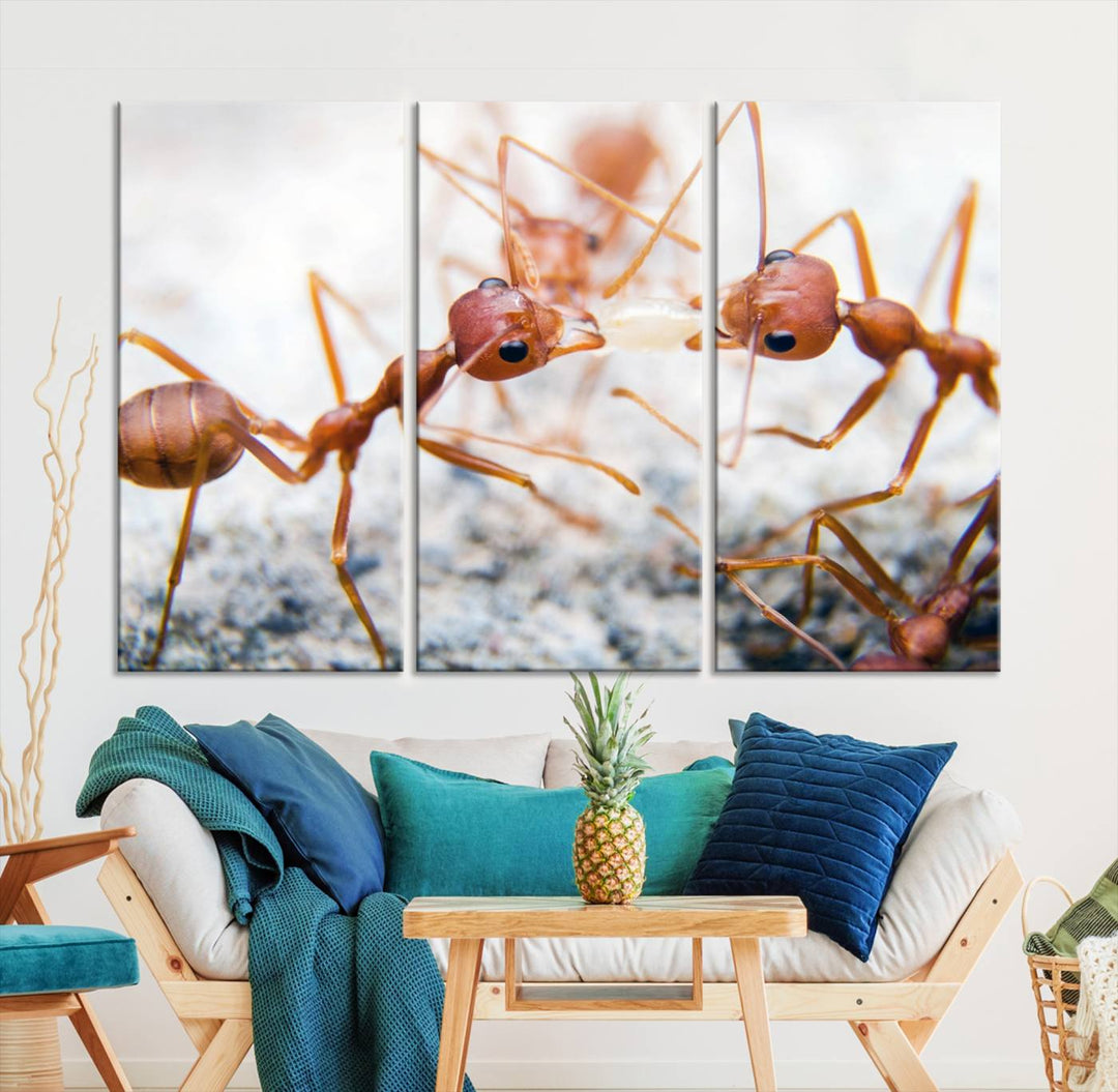 The "Ants Wall Art Canvas Print" features two ants facing each other, beautifully presented across three panels on museum-quality canvas with a UV-protective coating.