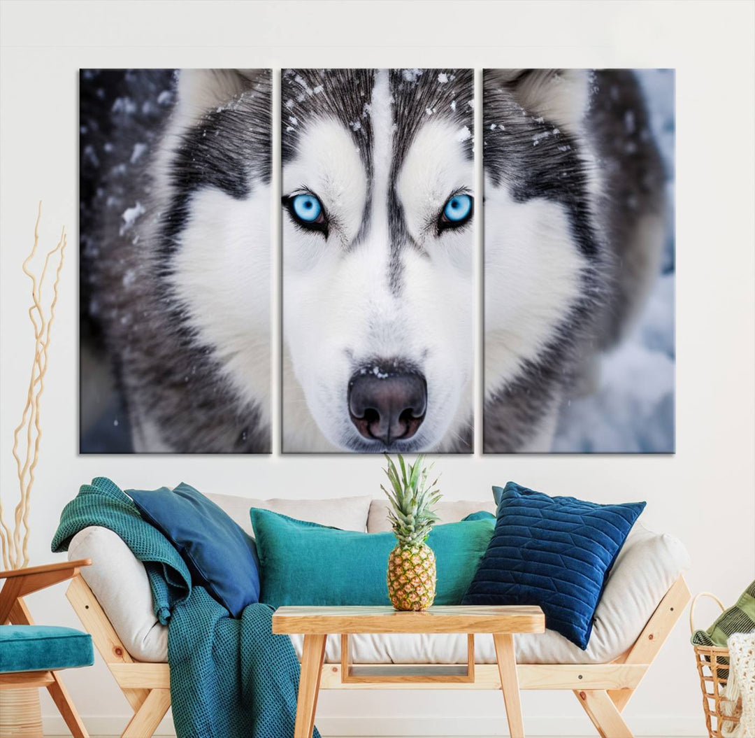 A large framed Winter Siberian Husky Wolf Wall Art Canvas Print, an exquisite piece of animal portrait decor, hangs prominently on the wall.