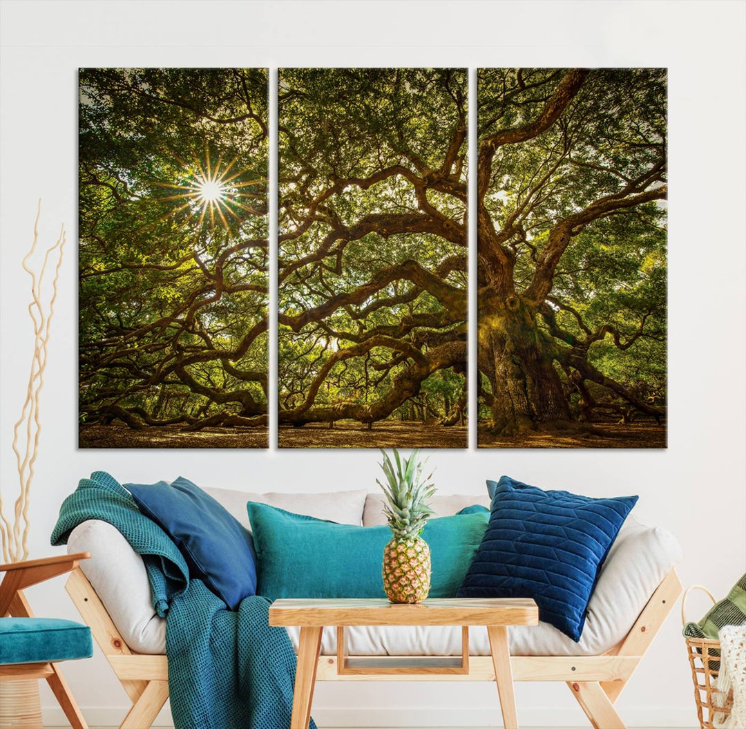 Ancient Angel Oak Tree Sunburst Wall Art - Nature-Inspired Triptych Canvas Print, Framed, Ready to Hang