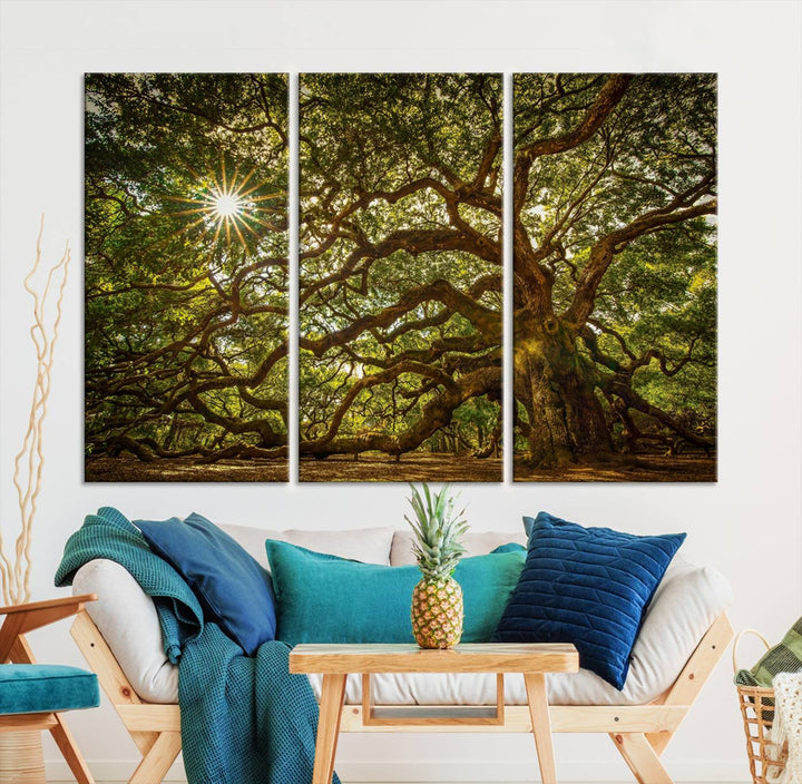 Ancient Angel Oak Tree Sunburst Wall Art - Nature-Inspired Triptych Canvas Print, Framed, Ready to Hang