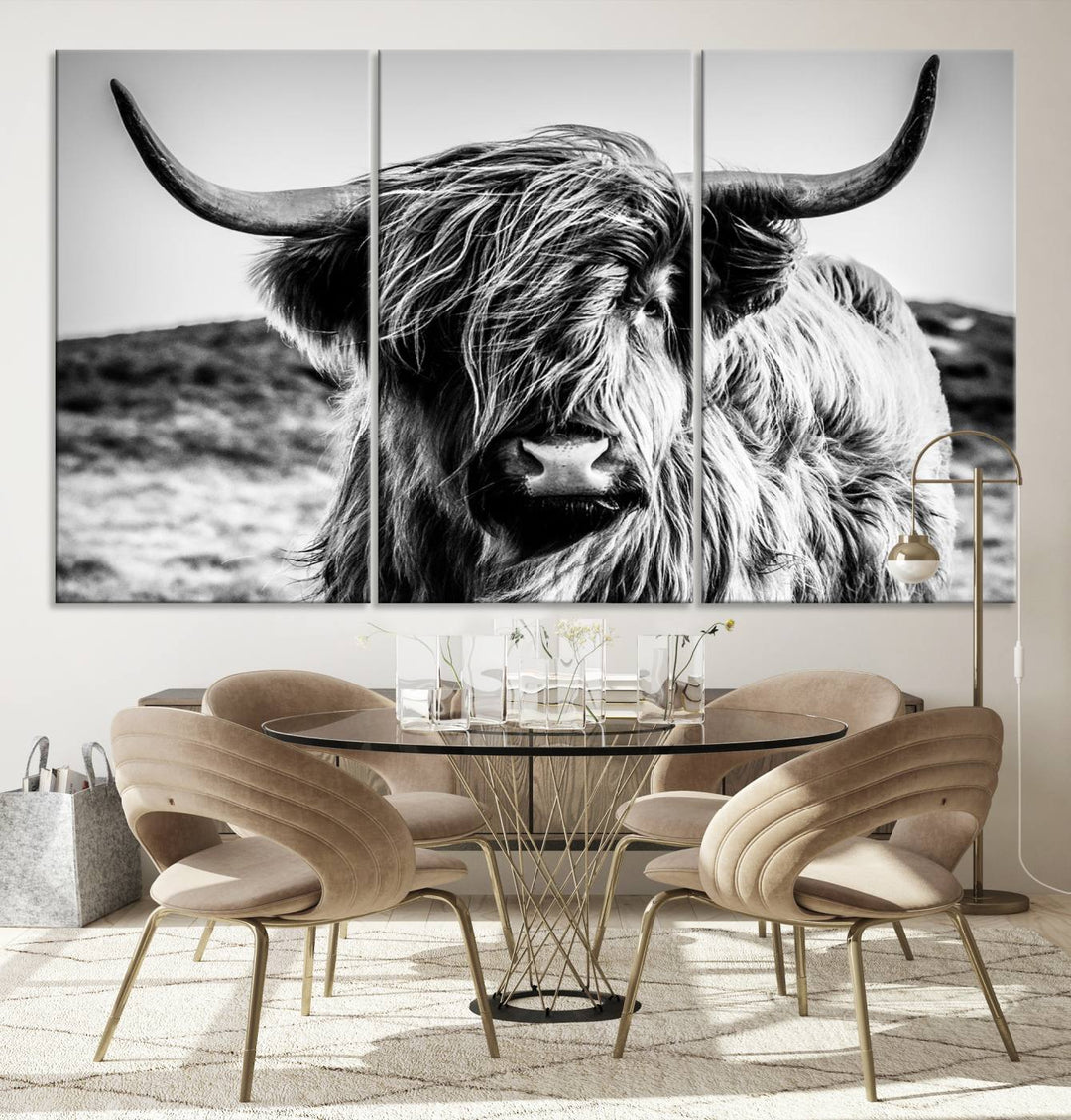 Scottish Cow Black and White Wall Canvas Art Print Farm House