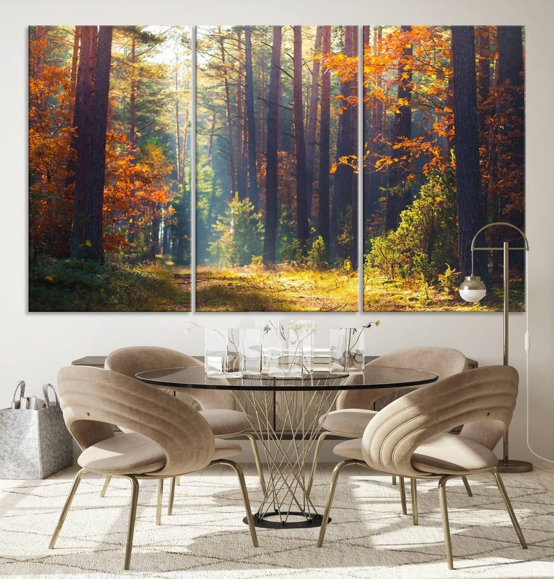 Forêt Sunshine Wall Art Impression sur toile