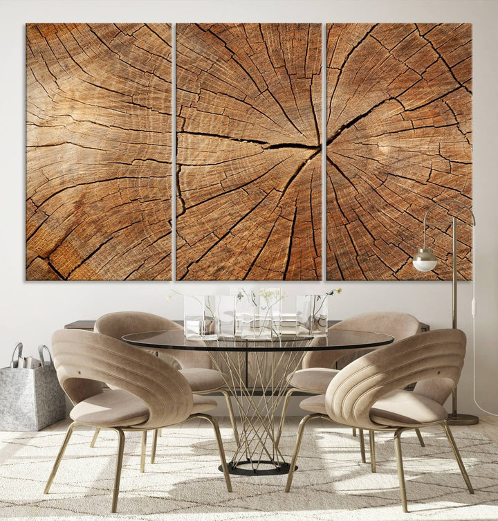 The stunning multi-panel wall art piece, the Tree Ring Canvas Art, features intricate rustic wood grain textures. This giclee triptych hangs elegantly on the wall.