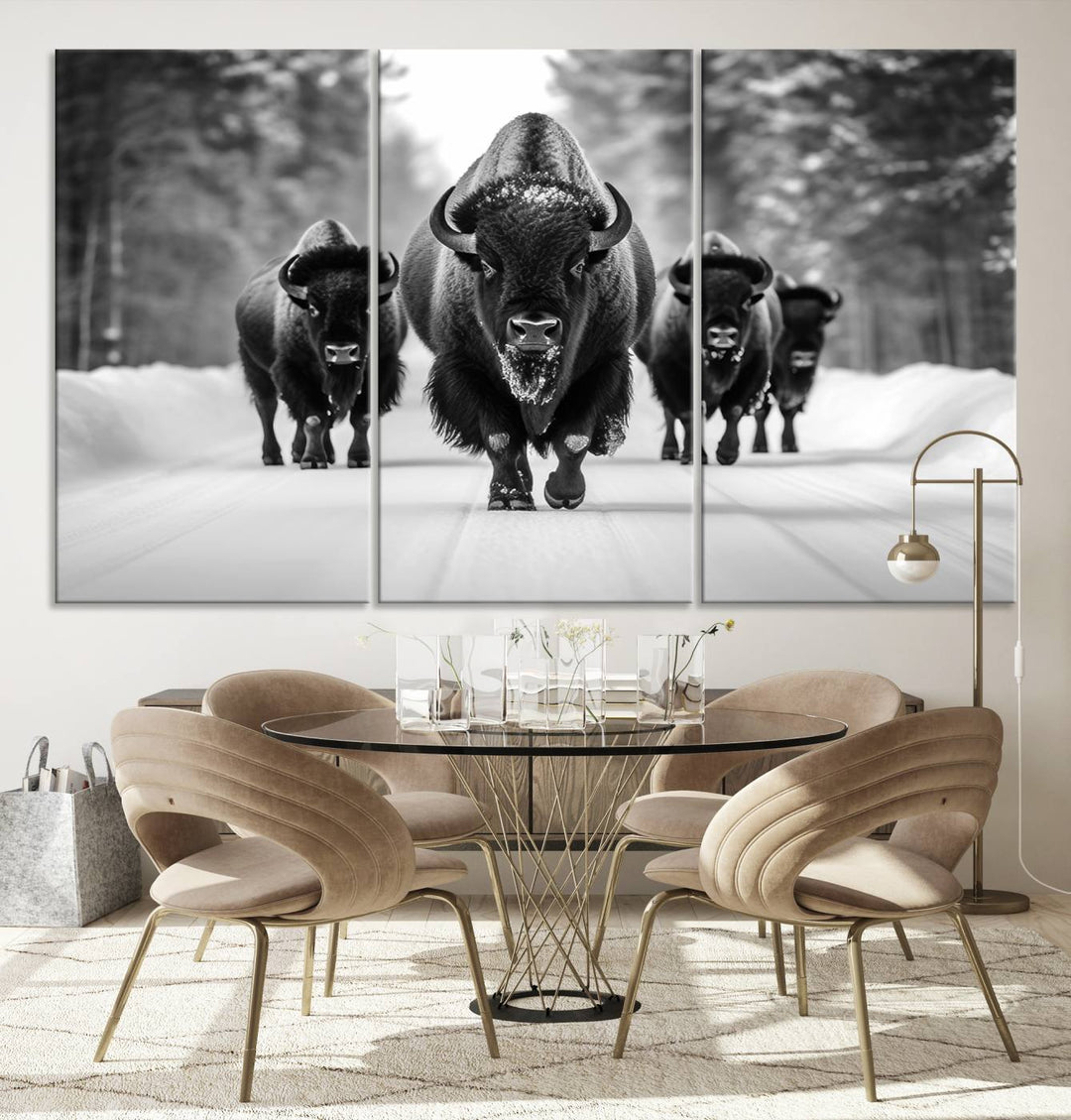 Buffalo Wall Art Canvas Print, Bison Wall Art Canvas Print