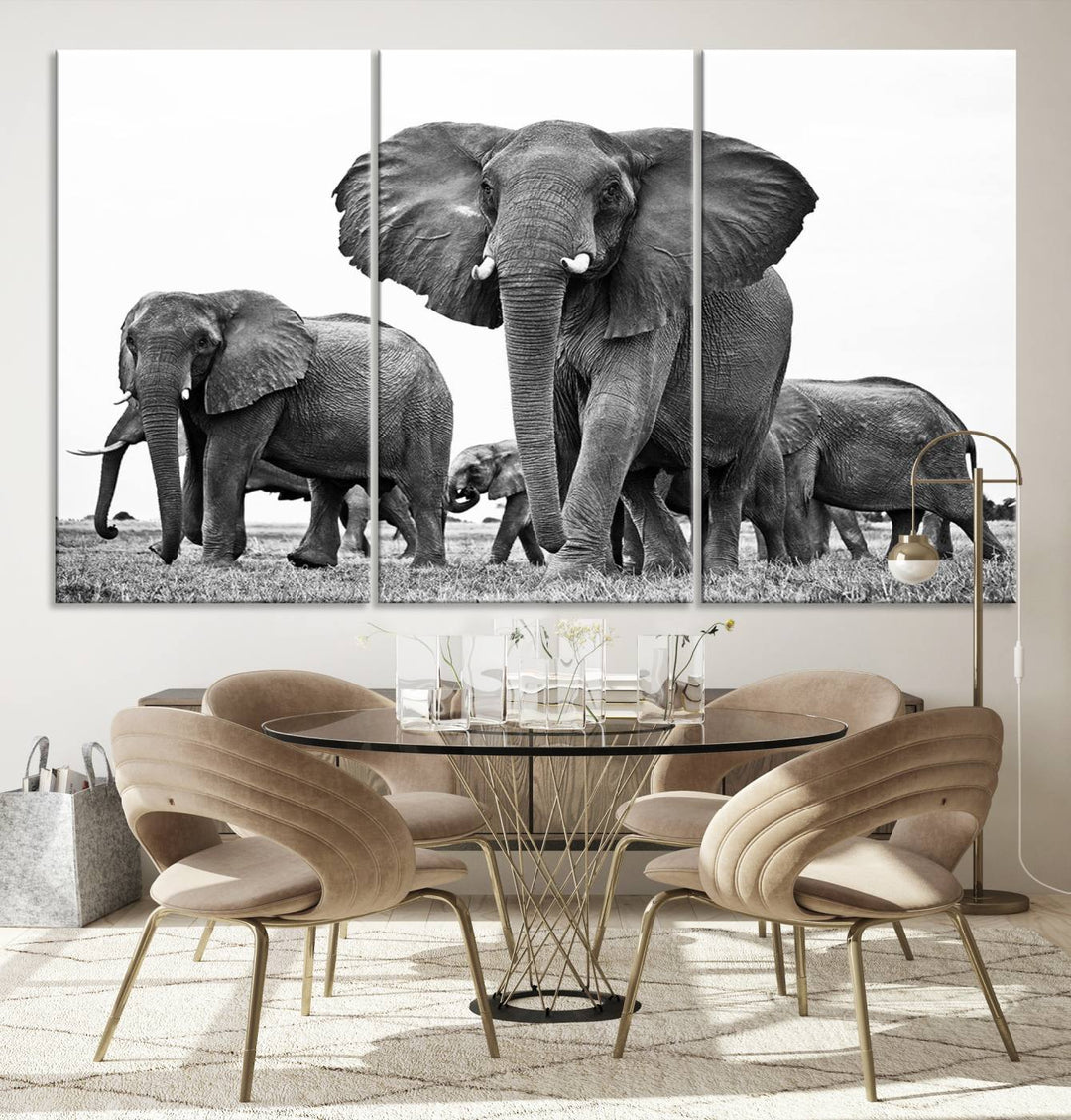 The Black White Elephant Family Wall Art Canvas Print features a triptych of elephants walking in the wild, crafted as gallery-quality wall art on premium canvas.