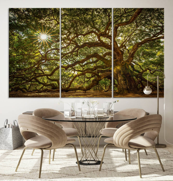 Ancient Angel Oak Tree Sunburst Wall Art - Nature-Inspired Triptych Canvas Print, Framed, Ready to Hang