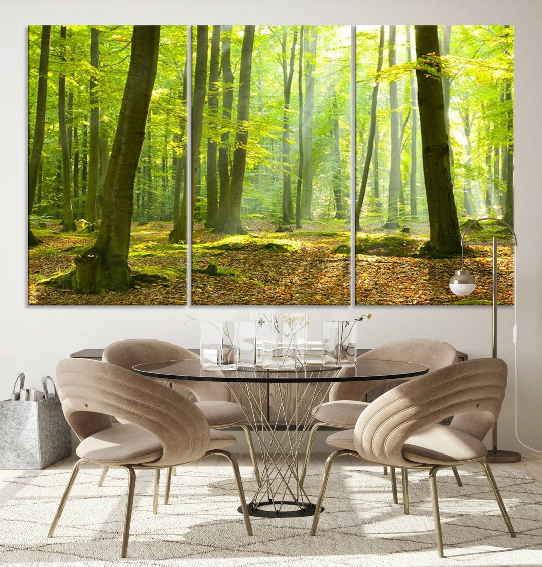 Wall Art Landscape Canvas Print Sunshine in Green Forest