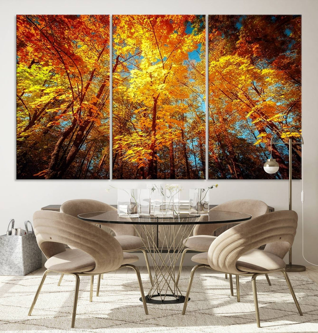 Forest View at Fall Wall Art Autumn Colors Landscape Canvas Print