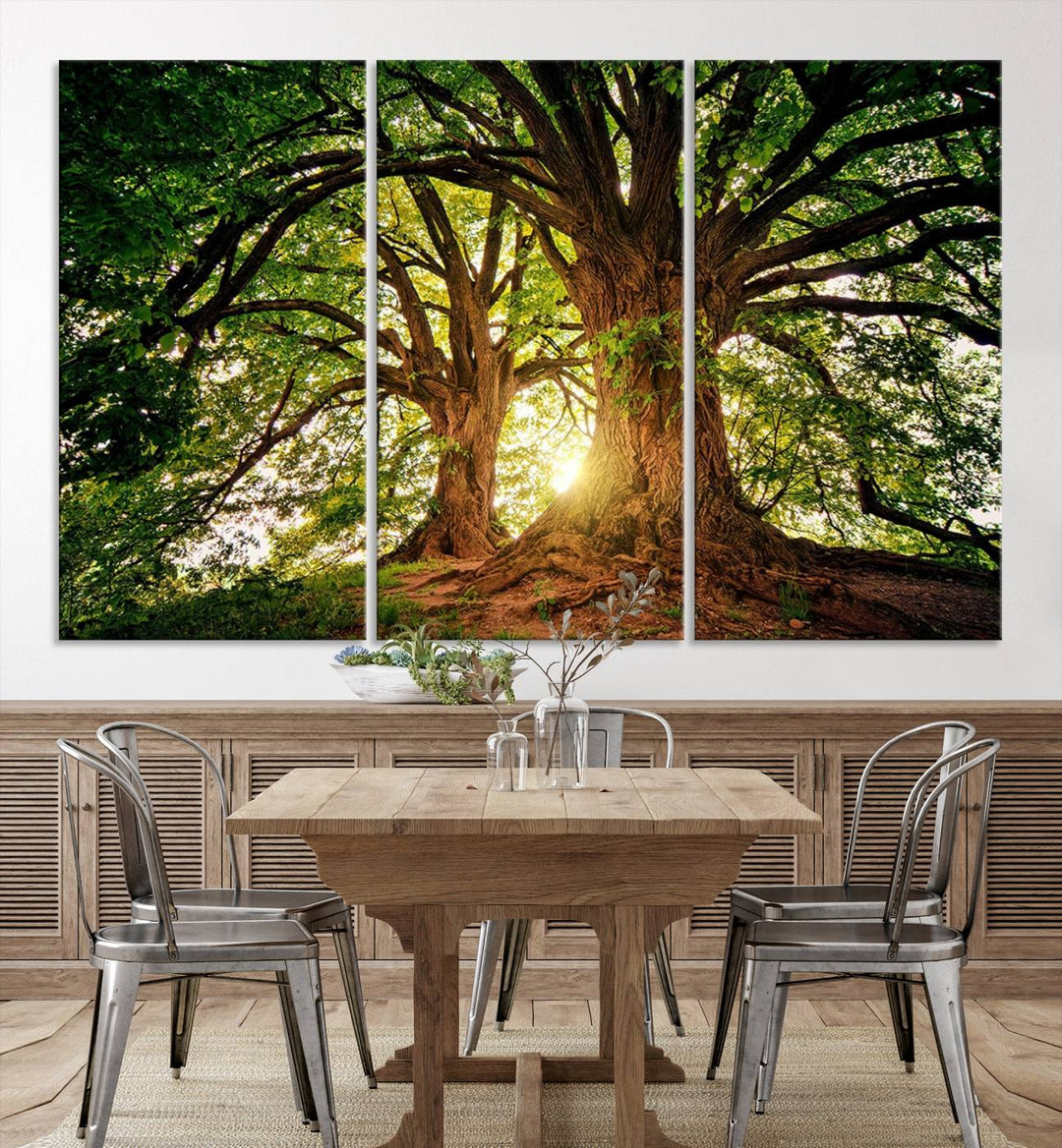 Majestic Ancient Tree Wall Art, Nature-Inspired Canvas Print, Woodland Art, Tree of Life Artwork, Sunlit Forest, Giclee Nature Print