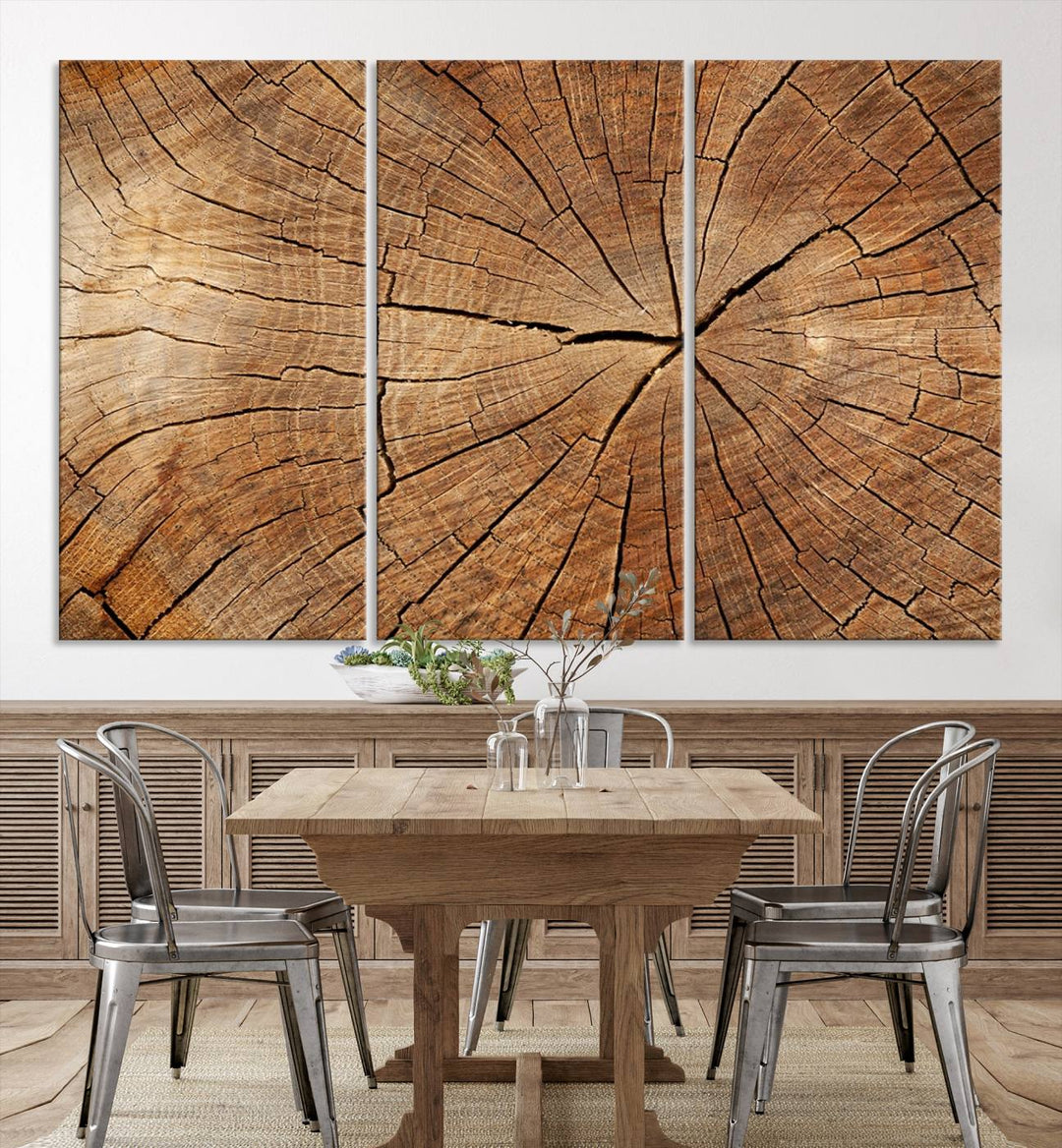 The stunning multi-panel wall art piece, the Tree Ring Canvas Art, features intricate rustic wood grain textures. This giclee triptych hangs elegantly on the wall.