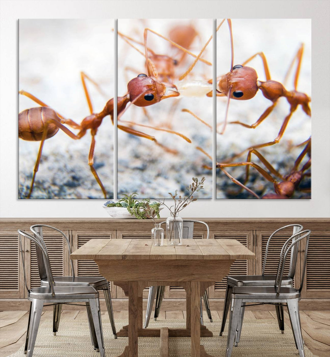 The "Ants Wall Art Canvas Print" features two ants facing each other, beautifully presented across three panels on museum-quality canvas with a UV-protective coating.