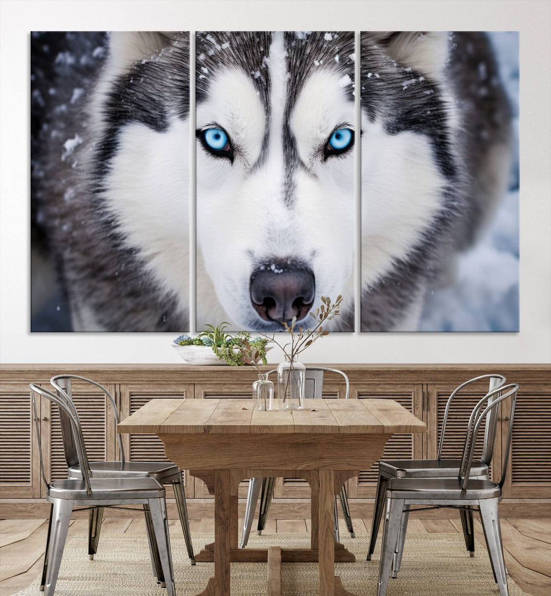 A large framed Winter Siberian Husky Wolf Wall Art Canvas Print, an exquisite piece of animal portrait decor, hangs prominently on the wall.