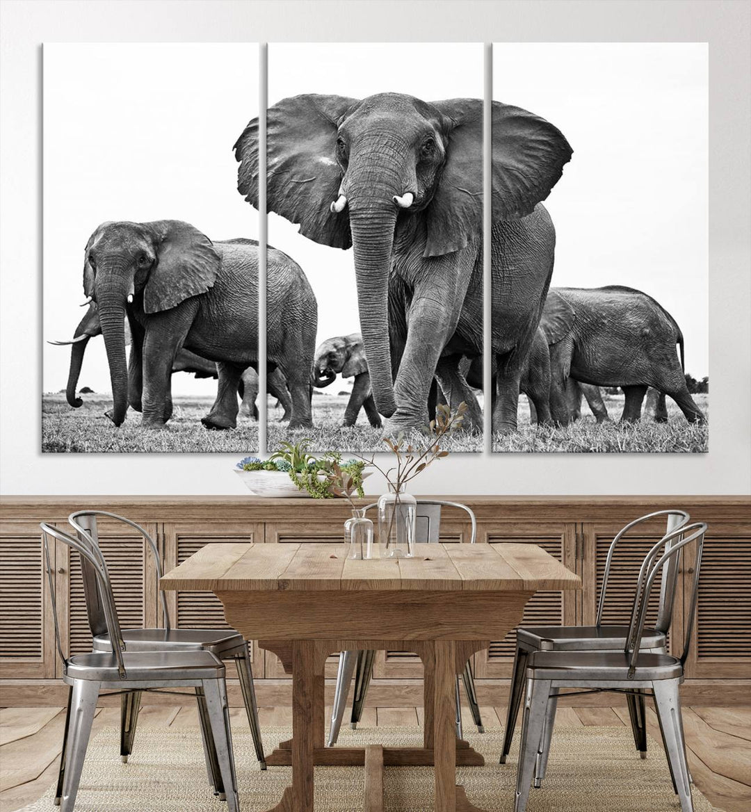 The Black White Elephant Family Wall Art Canvas Print features a triptych of elephants walking in the wild, crafted as gallery-quality wall art on premium canvas.