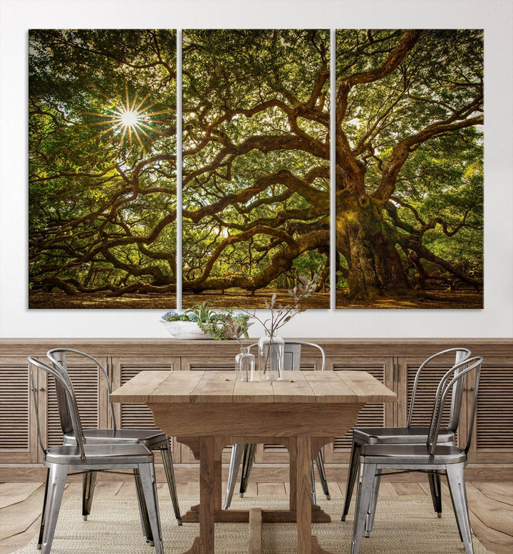 Ancient Angel Oak Tree Sunburst Wall Art - Nature-Inspired Triptych Canvas Print, Framed, Ready to Hang